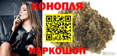 гашик Малгобек