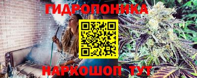a pvp Малоярославец