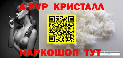 гашик Малгобек