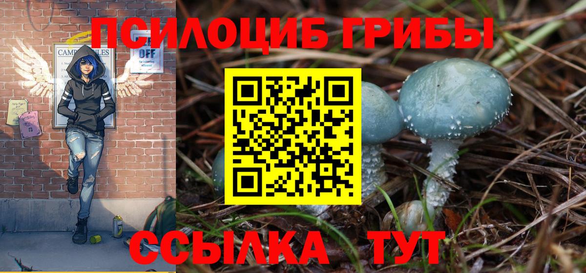Псилоцибиновые грибы прущие грибы Печора