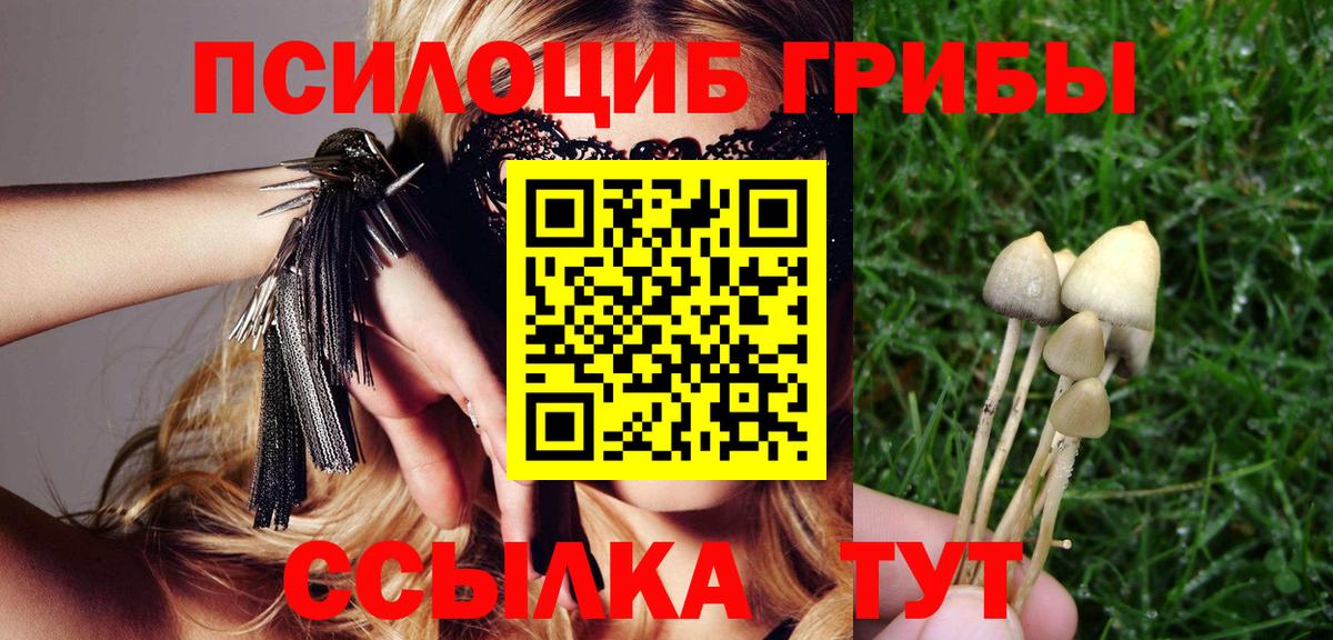 Печора  Псилоцибиновые грибы Magic Shrooms  Вход с VPN  Галлюциногенные грибы мицелий 